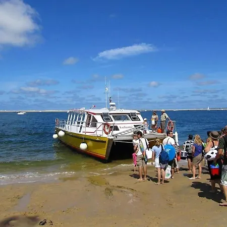 Arcachon, 4 Pieces, 6 Personnes - Fr-1-420-51 *